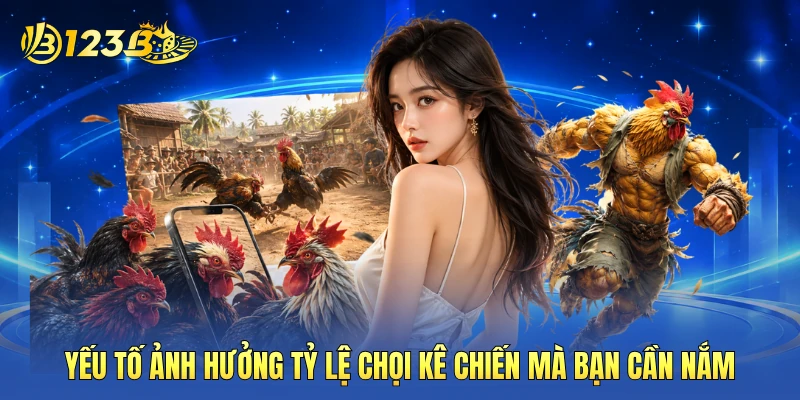 Yếu tố ảnh hưởng tỷ lệ chọi kê chiến mà bạn cần nắm